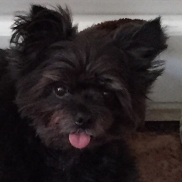 Meet your Posher, Donna - Picture 1 of 1